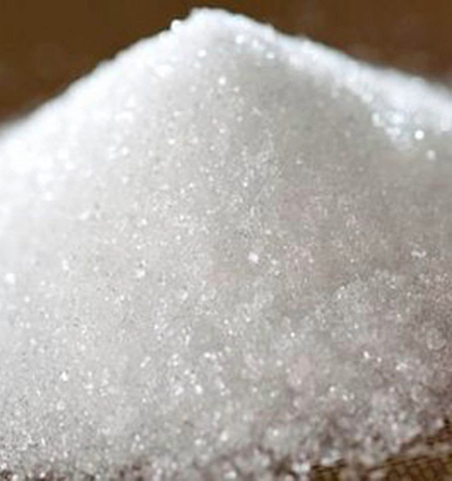 Raw sugar and bulk export infrastructure