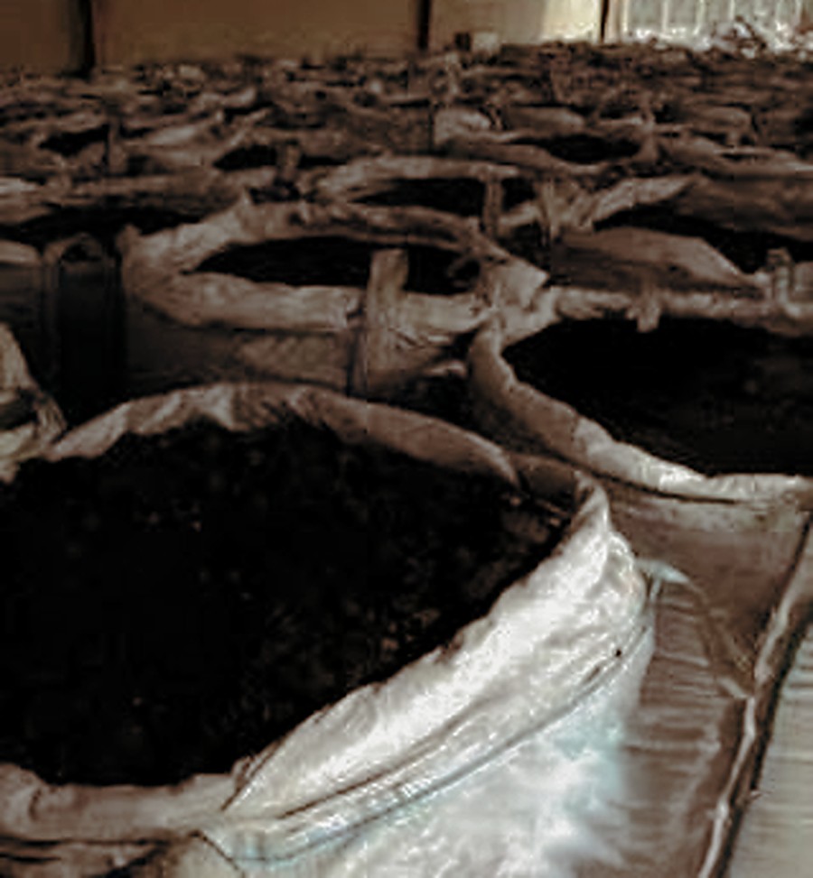 Cobalt concentrate prepared for logistics
